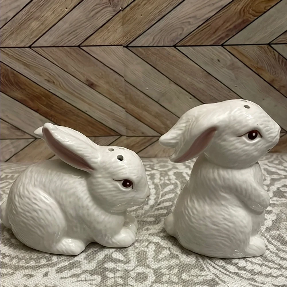 Pier 1 Imports Bunny‎ Rabbit Salt and Pepper Shakers